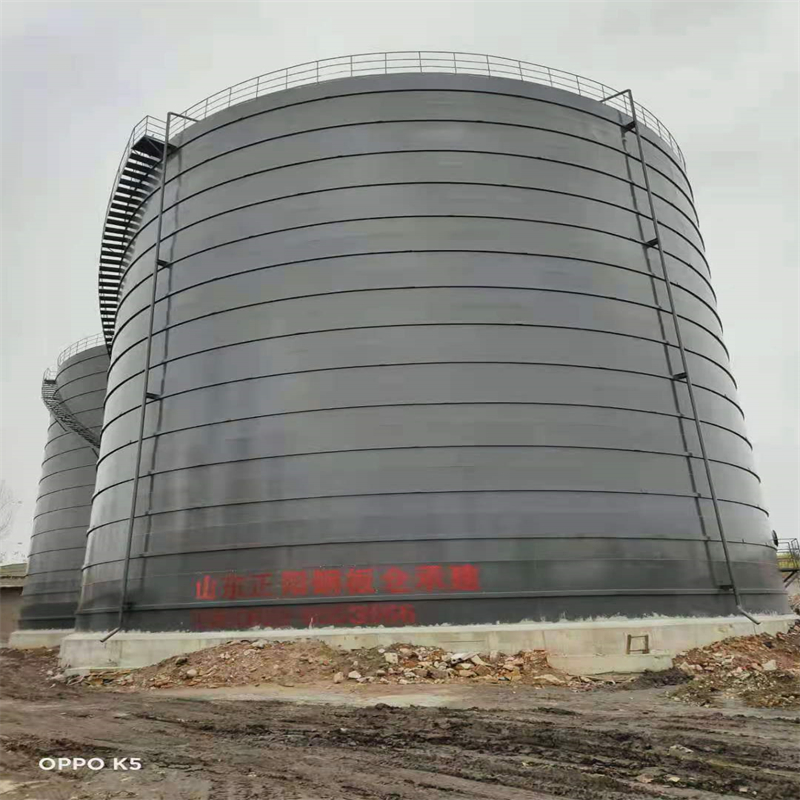 蓬安3万吨大型钢板库