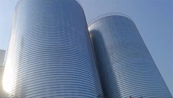 蓬安2座混凝土高架卷板仓